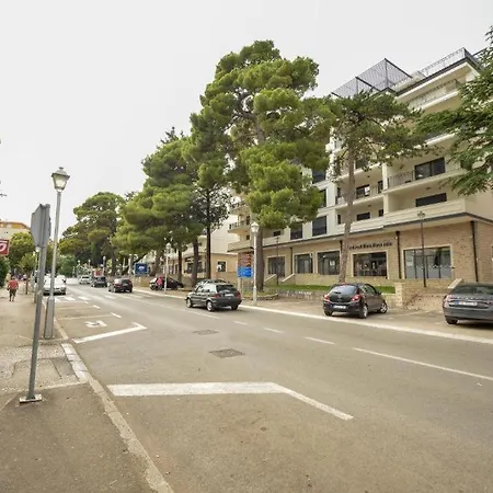 아파트 In 트레빈예